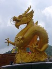 Phuket dragon